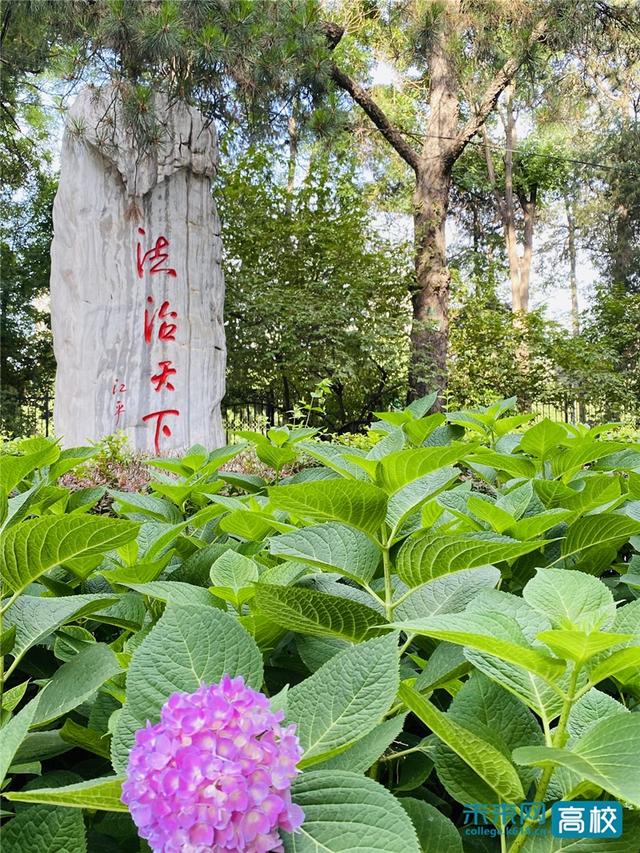 中國政法大學：法學專業擴大招生規模，十個專業推行本碩貫通培養