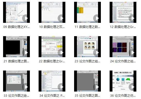 師兄教你科研數(shù)據(jù)處理與作圖！繪圖輕松拿下！讓你搞定論文難點