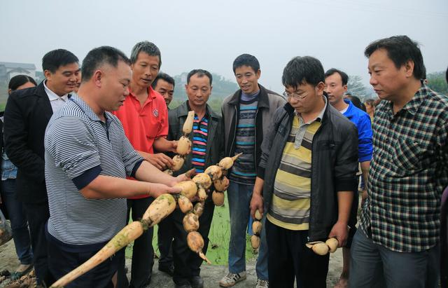 建議：每年給農民培訓，如何科學種地，并收取少量培訓費（農民種植培訓）