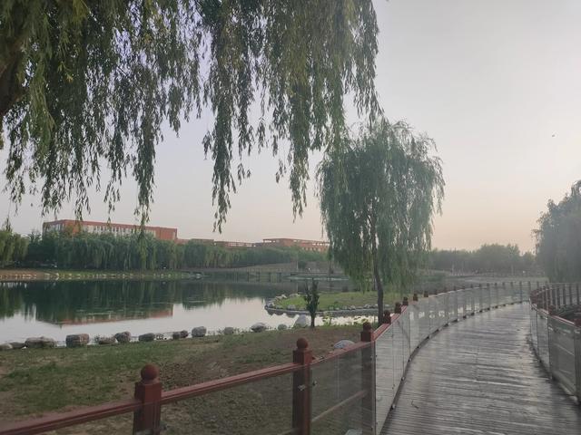 疏于合同簽訂和管理，后患無(wú)窮！