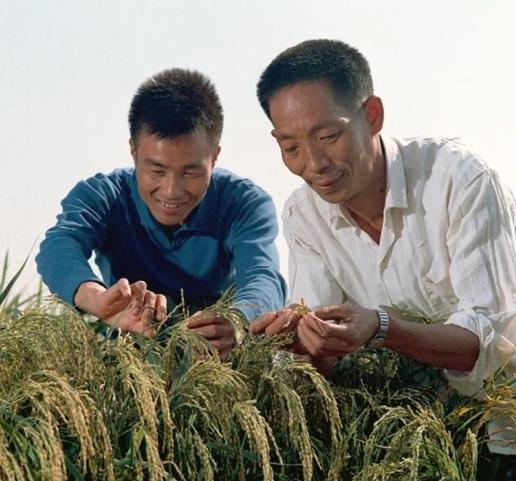 百年瞬間丨袁隆平榮獲新中國第一個特等發明獎（1981年6月6日袁隆平榮獲我國第一個特等發明獎）