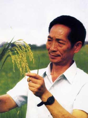 百年瞬間丨袁隆平榮獲新中國第一個特等發明獎（1981年6月6日袁隆平榮獲我國第一個特等發明獎）