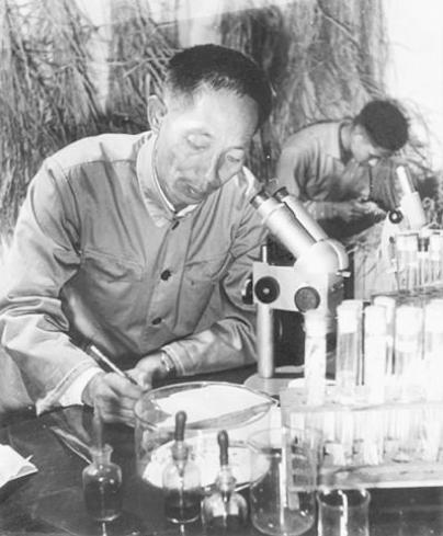 百年瞬間丨袁隆平榮獲新中國第一個特等發明獎（1981年6月6日袁隆平榮獲我國第一個特等發明獎）