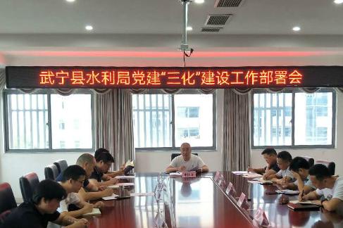 武寧縣水利局：黨建“三化”建設引領水利事業高質量發展（水利三化建設是指什么）