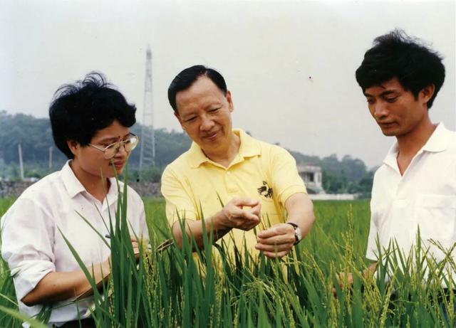 盧永根 把根深深扎在泥土里（把根深深扎進土地）