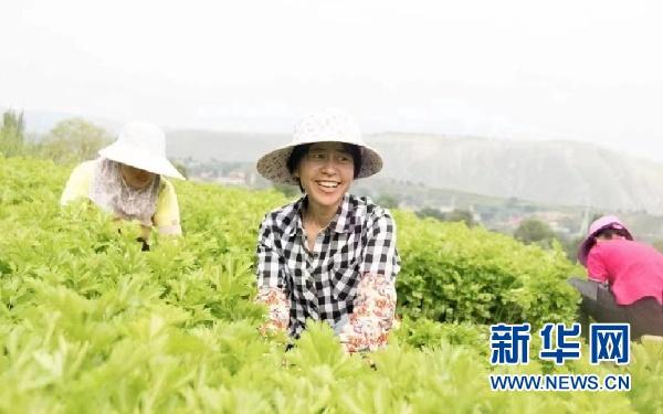 「喜迎黨代會」強(qiáng)基固本筑堡壘——甘肅省基層黨建工作綜述