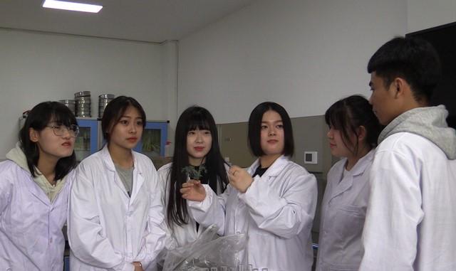 山東科技職業學院：“立地式”科研為中小企業插上轉型升級的“翅膀”