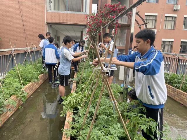用課題研究的方式對話春天，立格實驗這堂“課”不一般！（一）