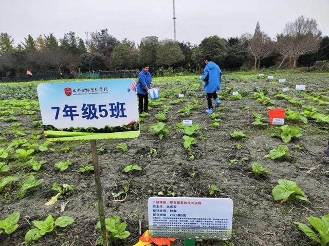 用課題研究的方式對話春天，立格實驗這堂“課”不一般！（一）
