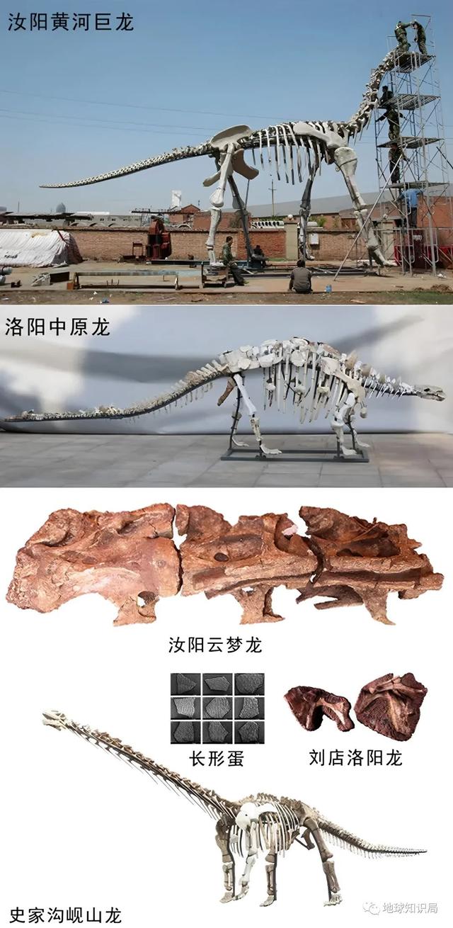 河南發現大寶貝，真中！- 地球知識局（河南發現特大）