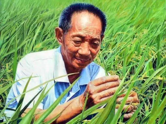 31位國家最高科學技術獎獲得者名單與籍貫分布 有你老鄉嗎？（國家最高科學技術獎獲獎人）