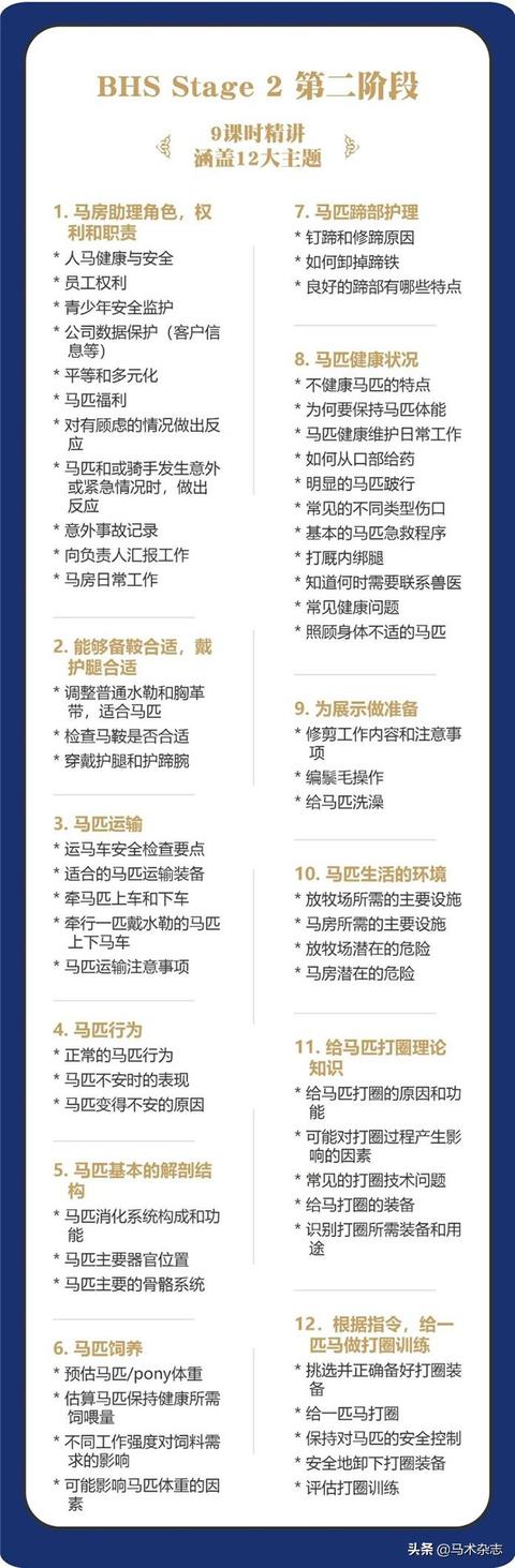 宅家樂趣多！何不試試線上馬房管理課？（線上馬匹）