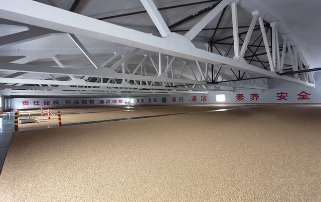 黨建引領理論創新“三個儲糧”助推發展（黨建引領下的三個一）