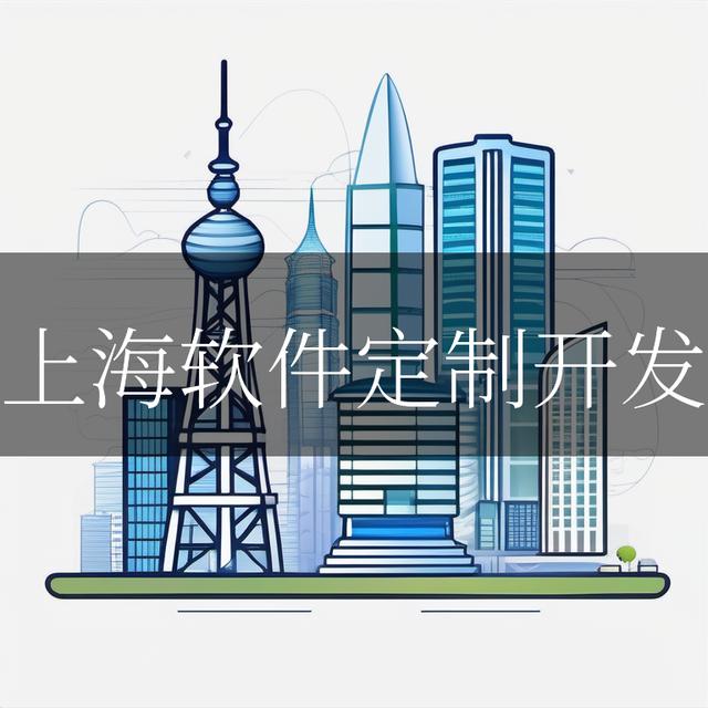 上海軟件定制開發（上海軟件定制開發公司）