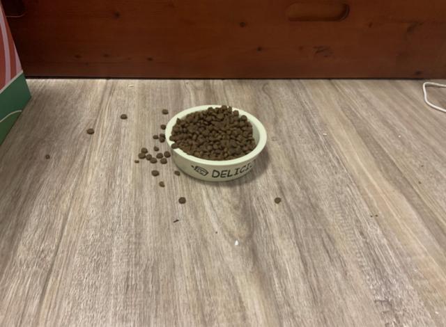 我們測了全網呼聲最高的幾款家政App，過年掃除就別瞎忙活了（家政平臺app哪個好）